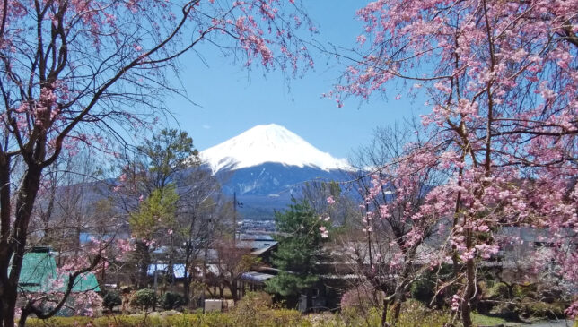 spring mt.Fuji    view from Sunsun Fujiyama